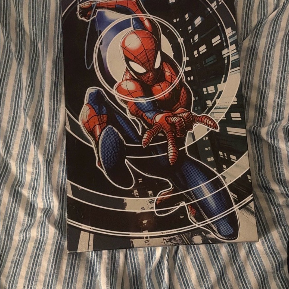 Spider-Man Poster